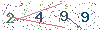 web code