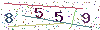 web code