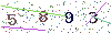 web code