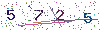 web code