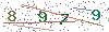web code
