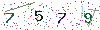 web code
