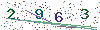 web code