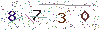 web code