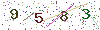 web code