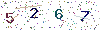 web code