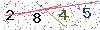 web code