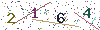 web code