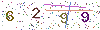 web code