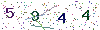 web code
