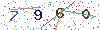 web code