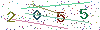 web code