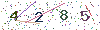 web code
