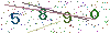 web code